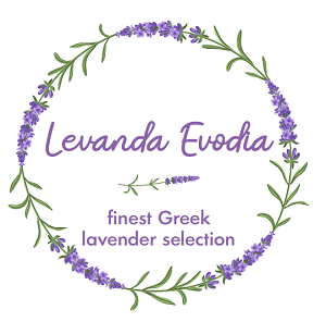 Levanda Evodia